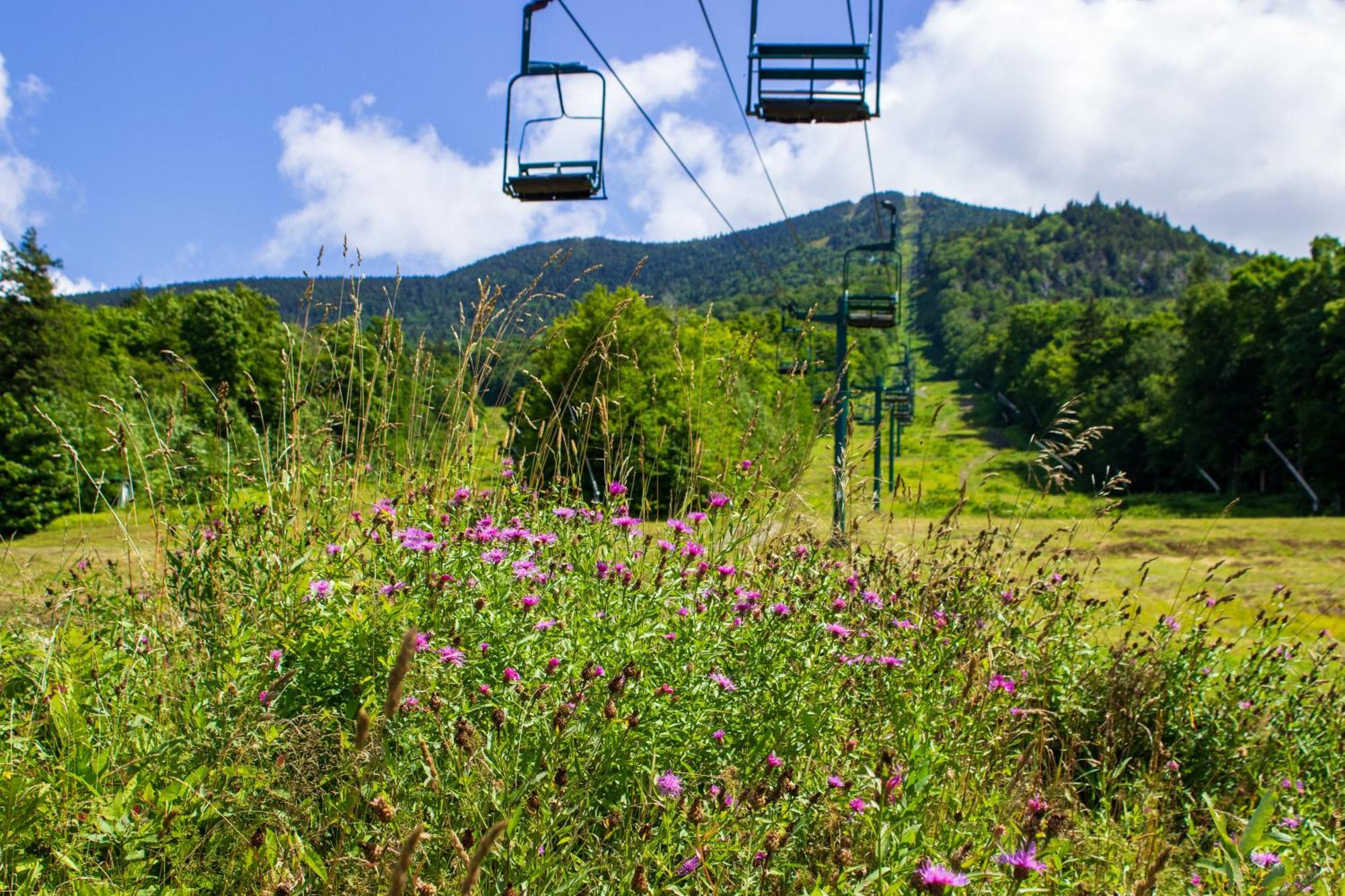 Smugglers' Notch Resort Private Suites Cambridge Eksteriør billede